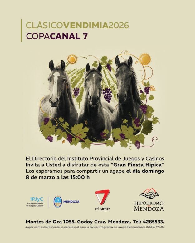 WhatsApp Image 2026-03-06 at 11.57.07